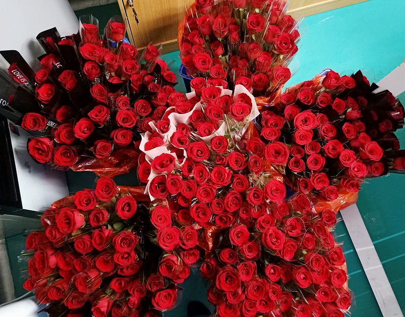 米兰·(milan)女神节